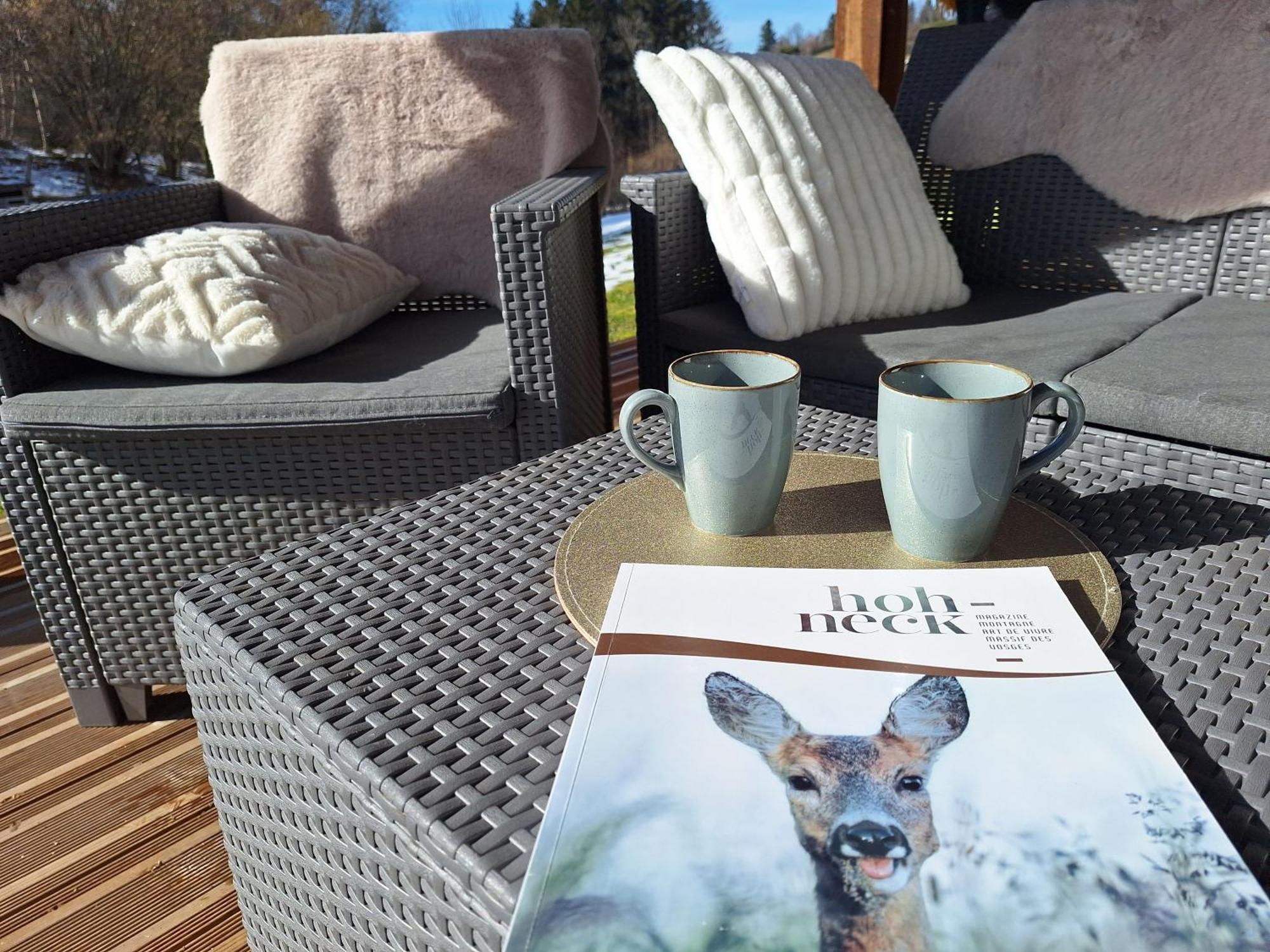 Chalet L'Appel De La Foret 热拉梅 外观 照片